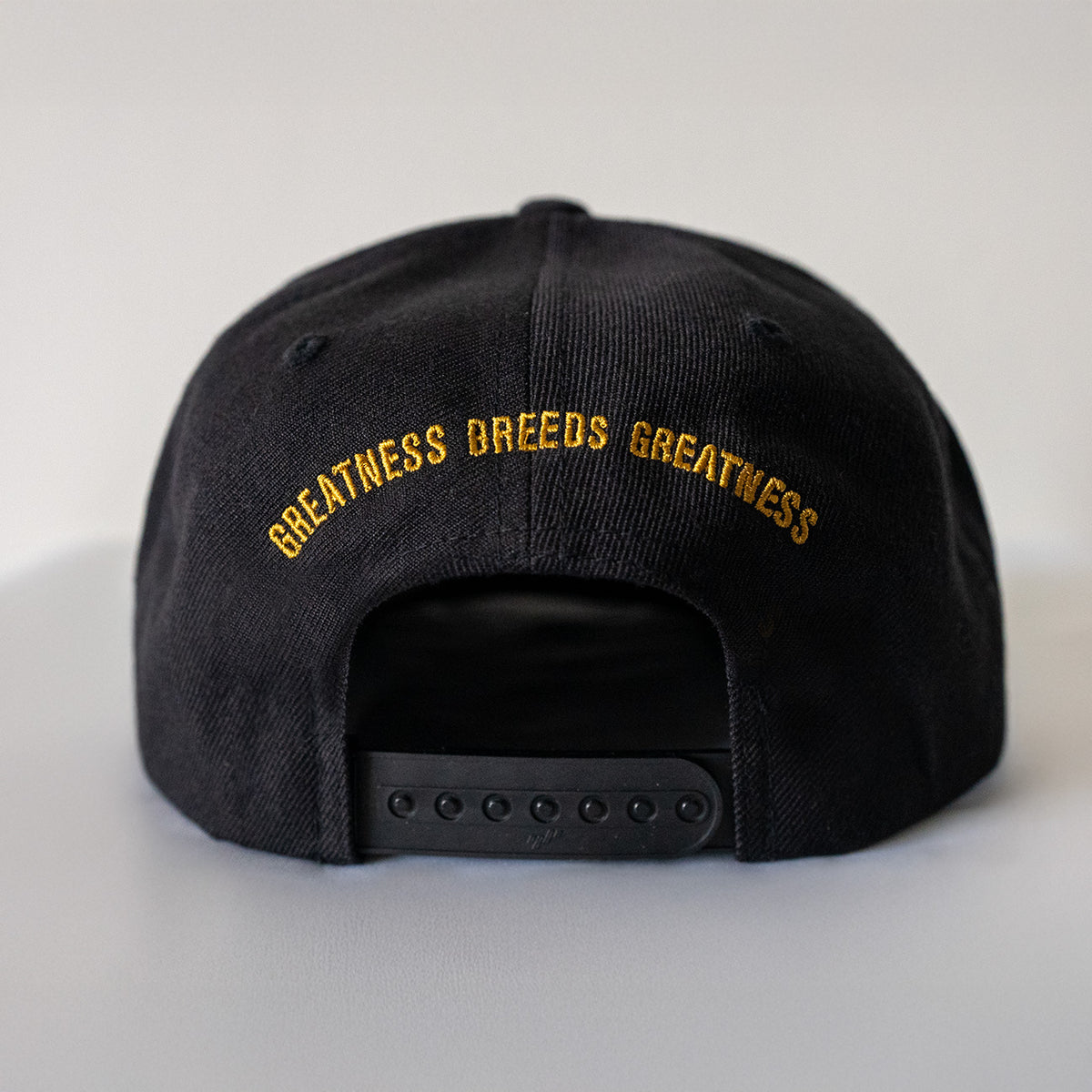 Signature Fitted Hat